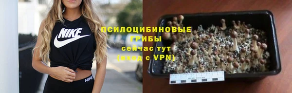 прущие грибы Алексин