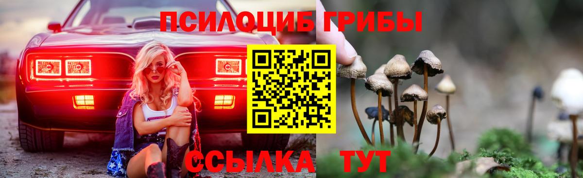 Псилоцибиновые грибы Psilocybe  Вход с VPN  Кыштым 